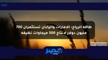 طاقة الرياح: الإمارات واليابان تستثمران 700 مليون دولار لإنتاج 500 ميجاوات نظيفة